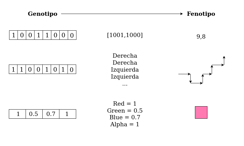 Diferencia entre genotipo y fenotipo