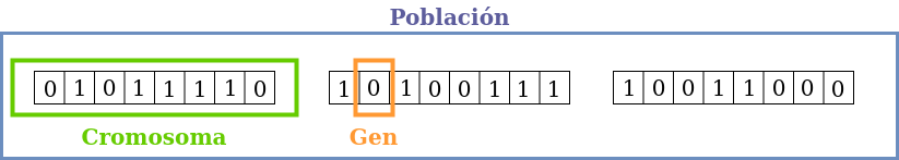 Población, cromosoma y gen