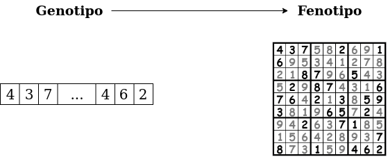 Genotipo y fenotipo en un problema de resolución de sudoku